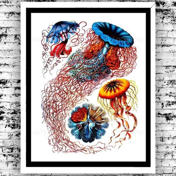 Jellyfish Nautical Science Illustration Bold Vivid Art Print 8.5x11" - Picture 1 of 5